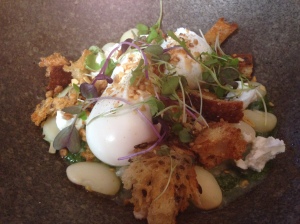 Slow cooked beans, green sauce of rocket, spinach and cress, poached eggs, feta, fried croutons, pine nut crumb